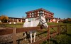 Kôň pri budove, K-Triumf Resort ****, Velichovky, Velichovky, Česko