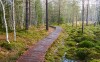 Šumava