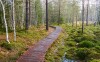 Šumava