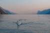 Labuťe na jazere, Garda Hotel Forte Charme ****, Nago (TN), Taliansko