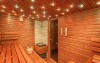 Drevená sauna, Hotel Tetřeví Boudy ***, Dolní Dvůr, Česko