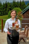 Reštaurácia, Hotel Tetřeví Boudy ***, Dolní Dvůr, Česko
