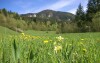 Krásna príroda Malá Fatra, Slovensko