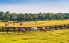 Penzión Monty Ranch, dovolenka vo Vysokých Tatrách