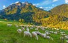 Turistika v horách, scenérie, Nízke Tatry, Slovensko