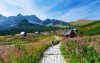 Poľské Tatry