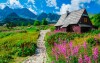 Poľské Tatry