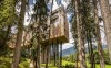 My Arbor - Dolomity *****, Brixen, Taliansko