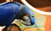 Zoo Berlin, Berlín, Nemecko