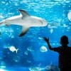 Oceanárium Kołobrzeg