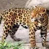 ZOO Bratislava