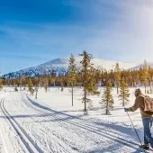 Ski areál Paganella