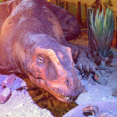 DinoPark Plaza Liberec