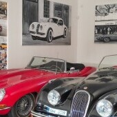 Výstava Jaguarov