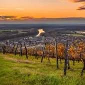 Tokajská vinárska oblasť
