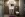 Jazmínový apartmán, Prestige Apartment, Zakopané, poľské Tatry